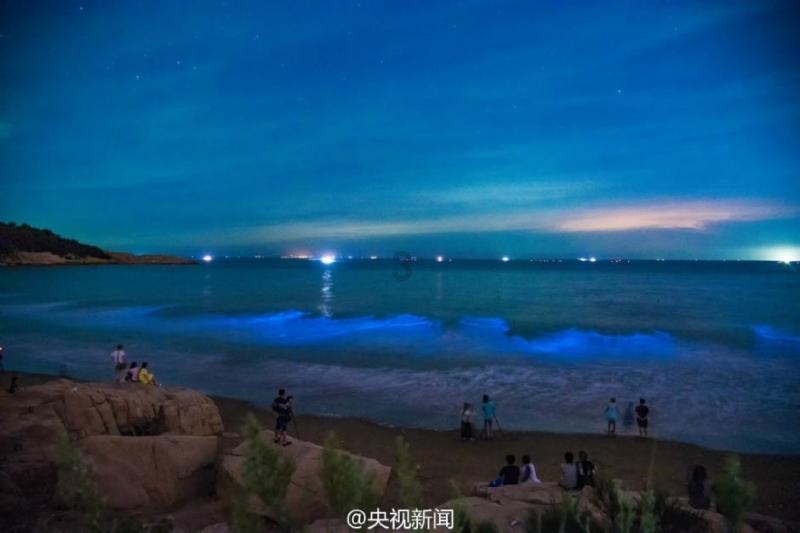蜡笔小新大逃杀2
