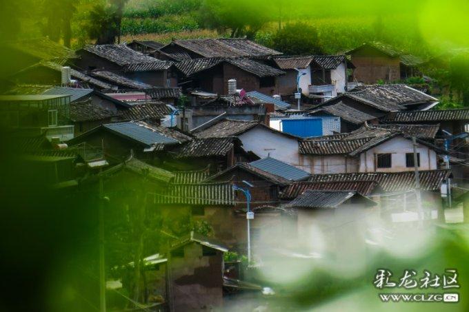 深中华A尾盘“炸板”,业绩惨淡的公司为何成为A股“宠儿”?