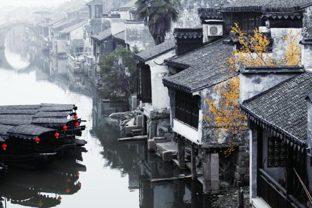 小僵尸射飞鸟